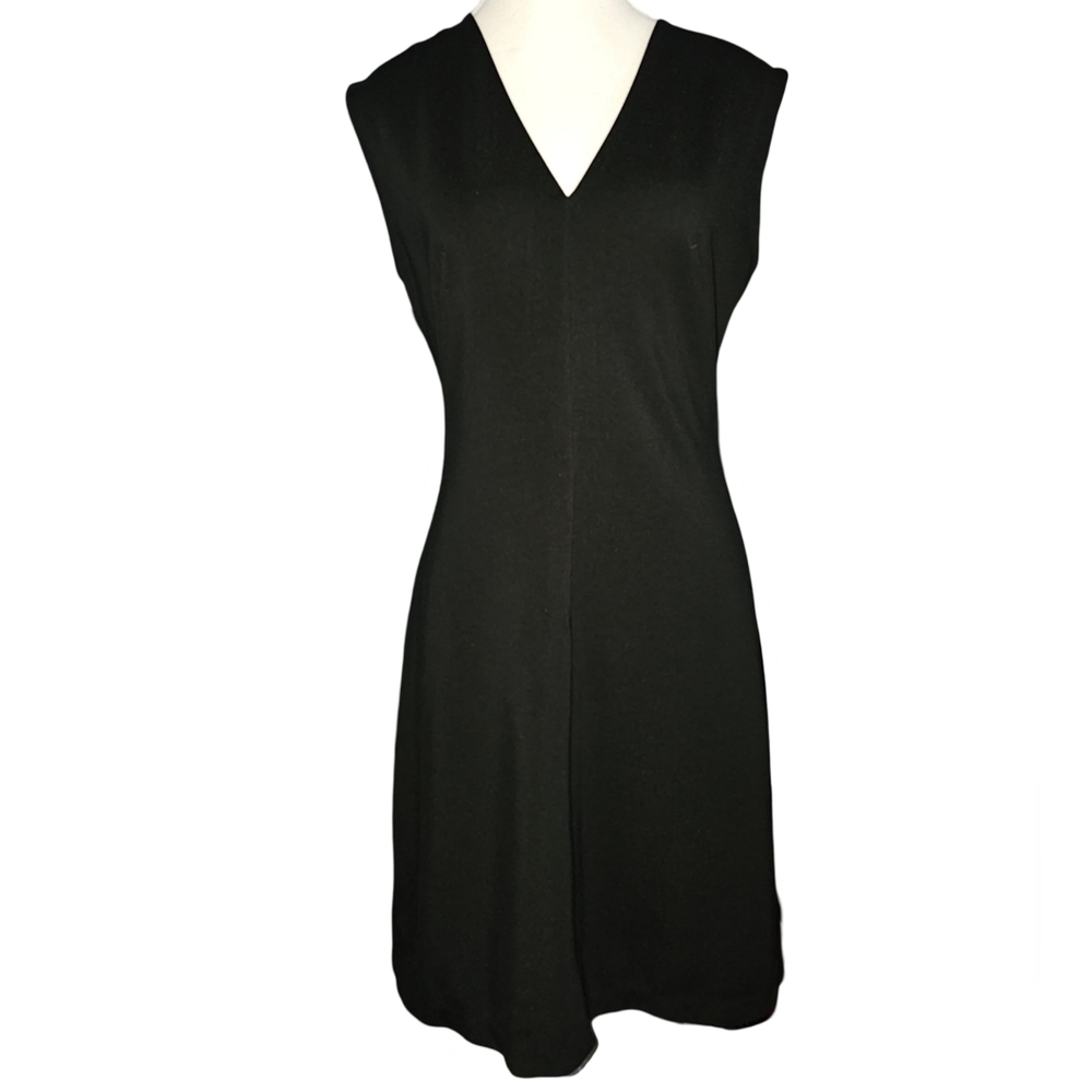 Everlane Black Sleeveless V-Neck Fit & Flare Dress A-Line Stretch Classic Sz 6 - Picture 2 of 15